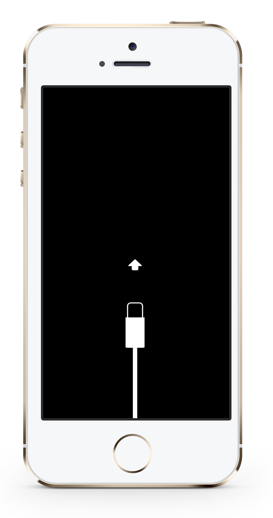 iPhone 5S Reparatur Berlin Dock-Connector